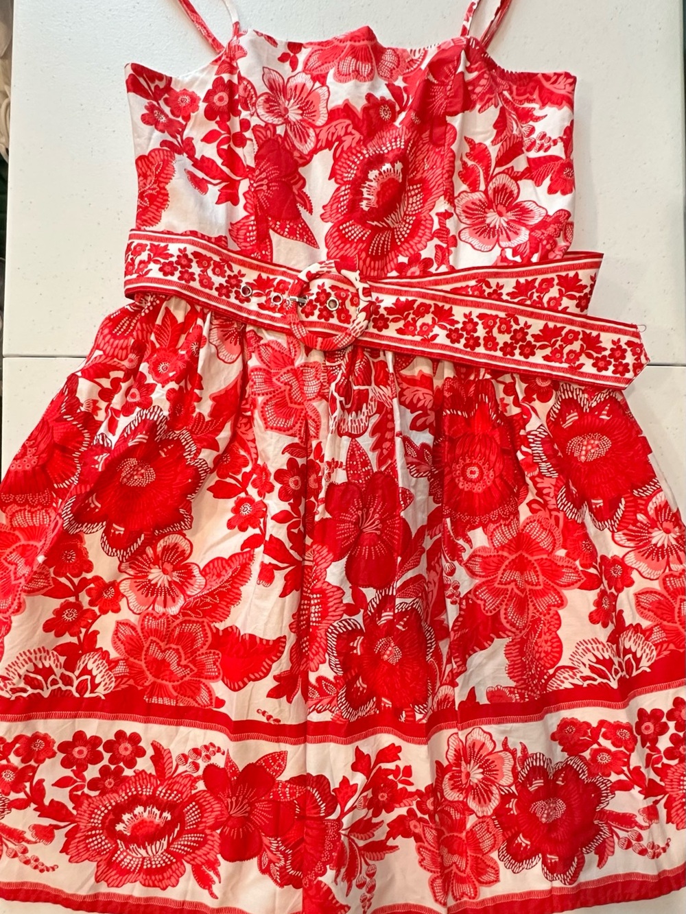 Joie Red and White Floral Belted Sundress
